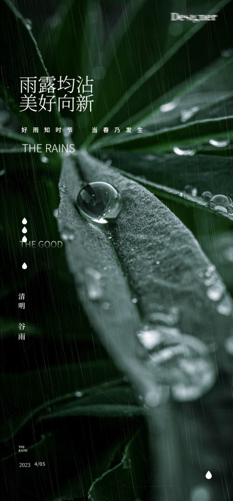 开始画-谷雨下雨清明节树叶24节气海报