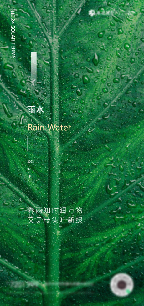 开始画-雨水节气春季海报